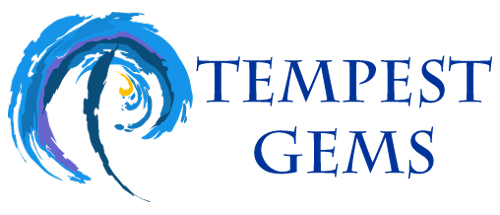 Tempest-GEMS grant management software